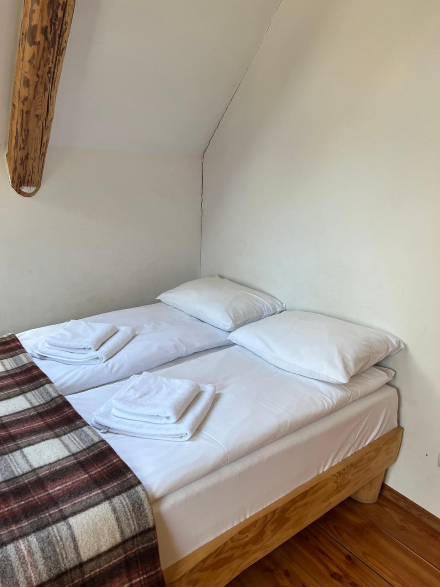 Appartement Ku Sosnie à Bukowina Tatrzańska Extérieur photo