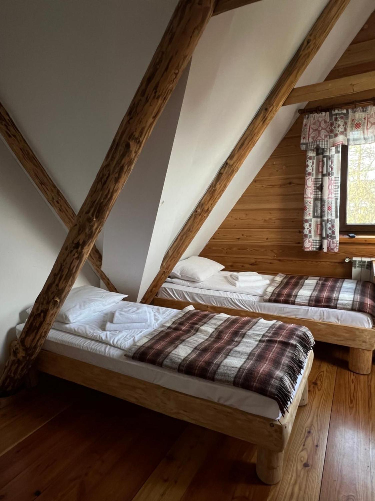 Appartement Ku Sosnie à Bukowina Tatrzańska Extérieur photo