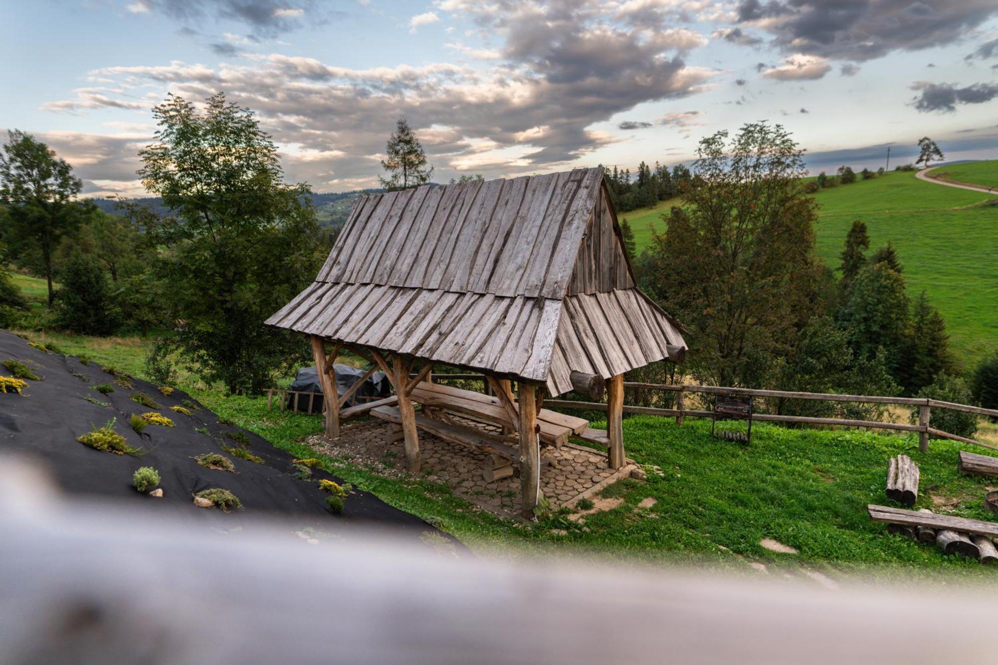 Appartement Ku Sosnie à Bukowina Tatrzańska Extérieur photo