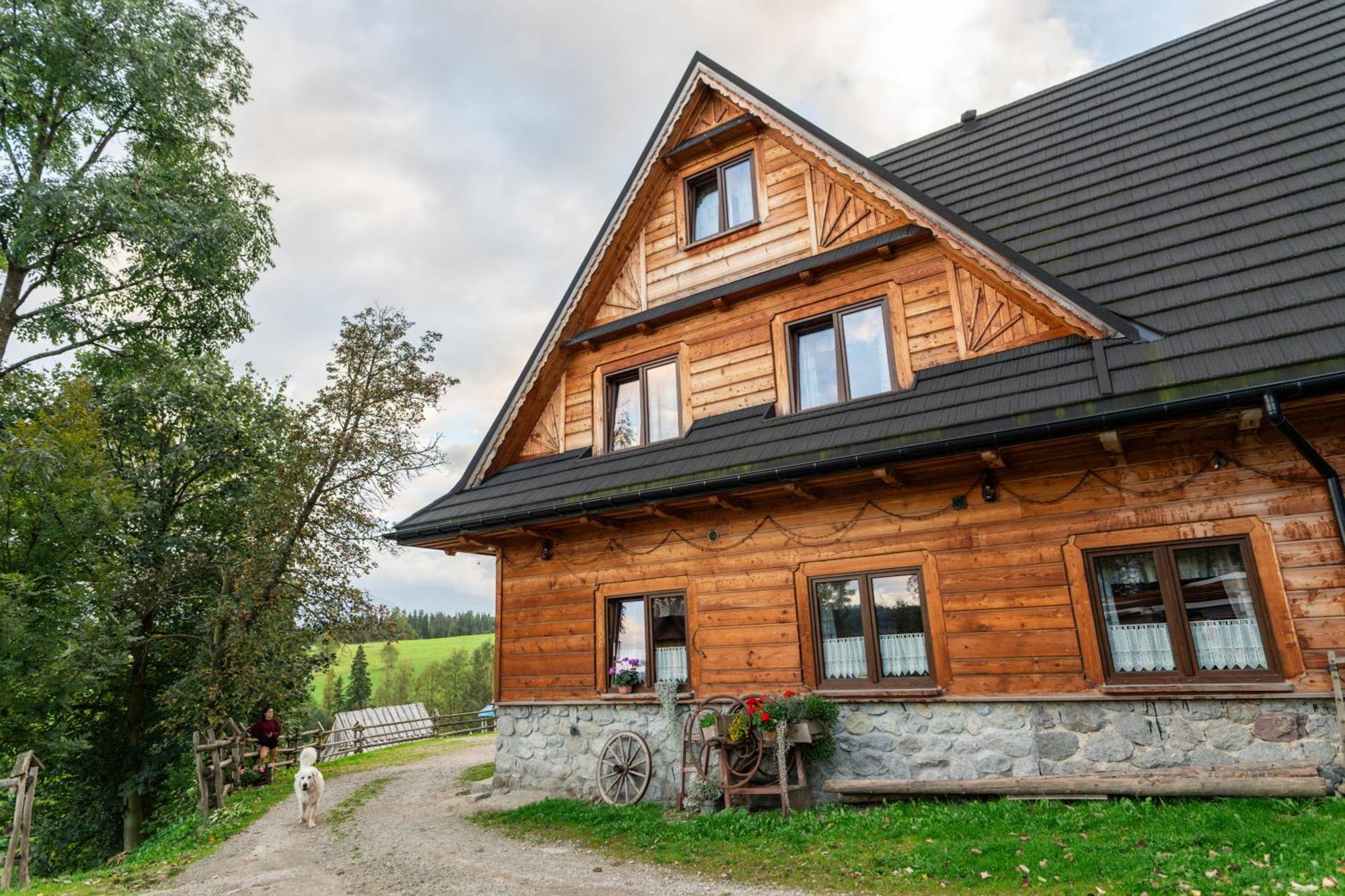 Appartement Ku Sosnie à Bukowina Tatrzańska Extérieur photo
